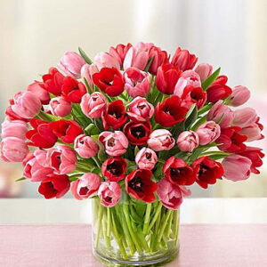 Sweetest Love Tulips, 60 Stems