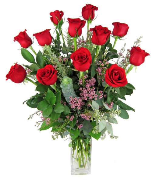 1 Dozen Long Stem Roses - Wow Floral Design Studio