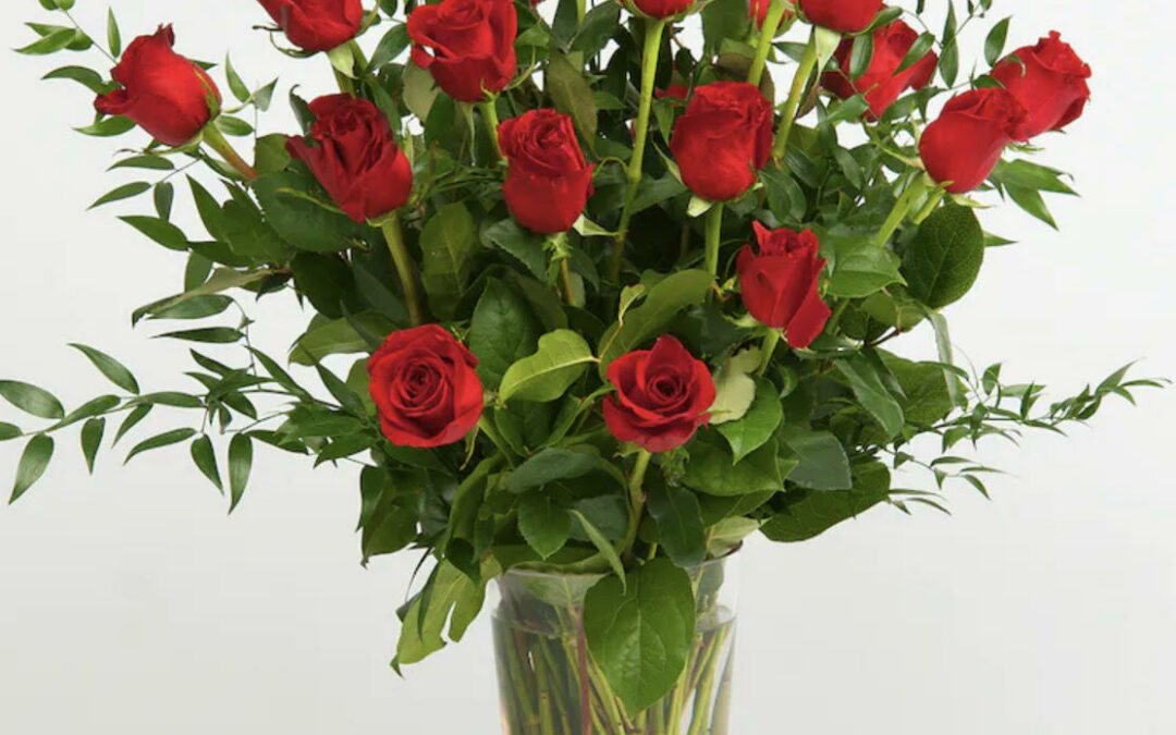 Classic Red Roses